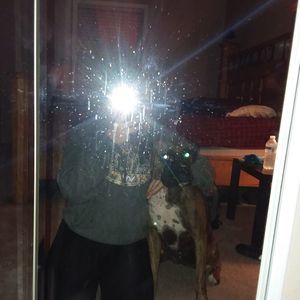 Meet your Posher, Riley